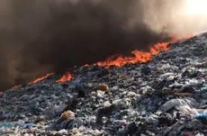 Autoritatea Gărzii de Mediu ar putea fi extinsă