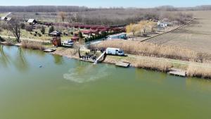 Două tone de crap au fost aduse la Balta Zătun &icirc;nainte de deschiderea sezonului de pescuit