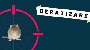 Deratizare generală &icirc;n Adjud