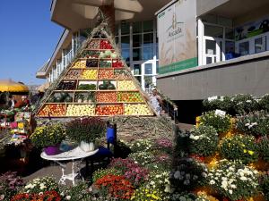 Poftiți la T&acirc;rgul de Toamnă! Evenimentul are loc &icirc;n perioada 23-25 septembrie, &icirc;n Piața Centrală