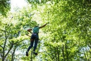Consiliul Județean Galați construiește un parc de aventură spectaculos &icirc;n Pădurea G&acirc;rboavele