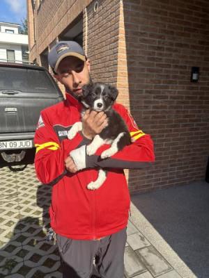 RONA - cel mai t&acirc;năr membru al echipei Salvamont Bistrița-Năsăud!