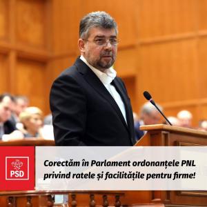 Cum preia PSD puterea &icirc;n Parlament