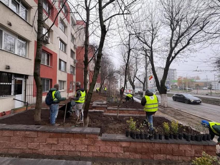 Continuăm modernizarea Sectorului 5. Șoseaua Alexandriei se schimbă pe zi ce trece!