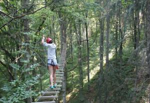 O nouă zonă de agrement va fi amenajată &icirc;n Pădurea G&acirc;rboavele