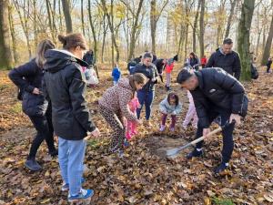 Noi acțiuni de plantare &icirc;n Bihor  &icirc;n weekend