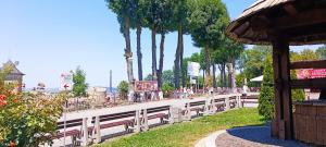 Măsuri anticaniculă &icirc;n Suceava