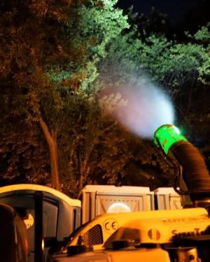 Primul tratament pentru combaterea ț&acirc;nțarilor &icirc;n București