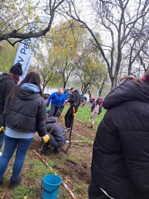 &bdquo;Un București mai verde&rdquo;- campanie de &icirc;mpădurire a parcurilor bucureștene