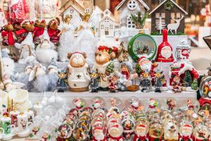 Complexul Muzeal de Științe Naturii Galați găzduiește expoziția &bdquo;Vis de Iarnă&rdquo;