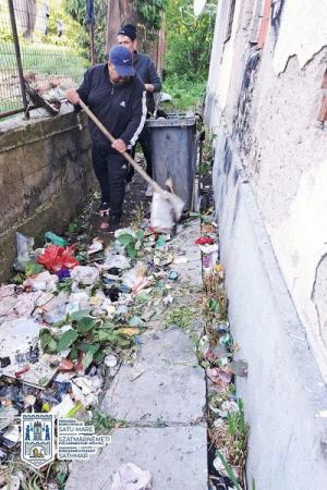 Curățenie de primăvară &icirc;n orașele din Satu Mare