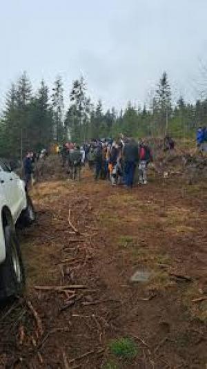 Campania "Copaci pentru viaţă"&icirc;n județul Harghita