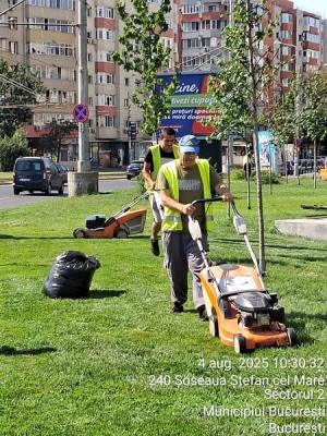 Lucrăm zilnic pentru un Sector 2 mai curat și mai bun!