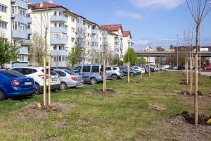 Campanie de plantări &icirc;n orașul Galați